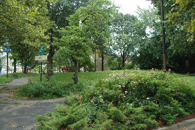 Lush vegetation in Barkan Park