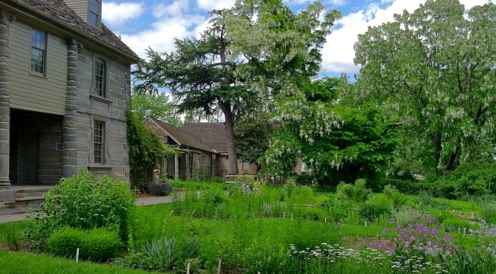 Lush vegetation in Bartram's Garden