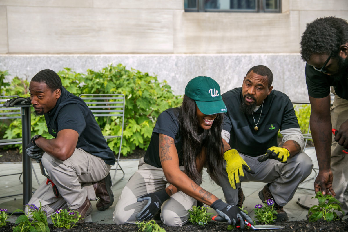 Green City Works landscaping team at work planting fresh plants.