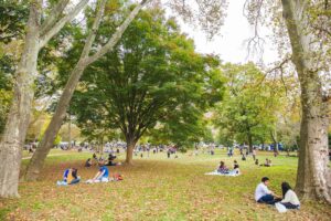 Community members enjoying a beautiful day in Clark Park