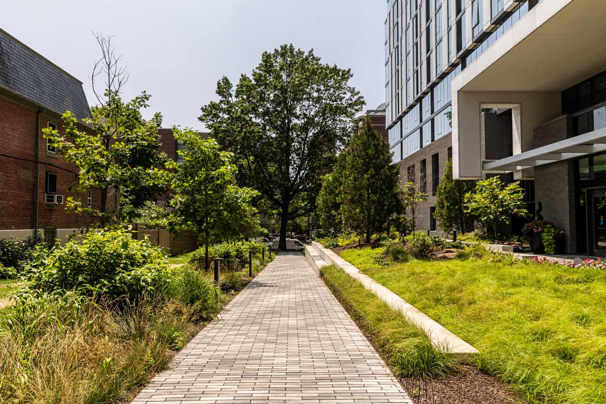 A walkway lined with lush green plants designed and installed by UCD's Green City Works landscaping company.