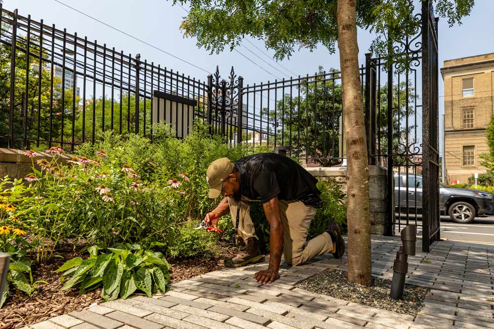 A Green City Works landscaper detailing a bed of plants.