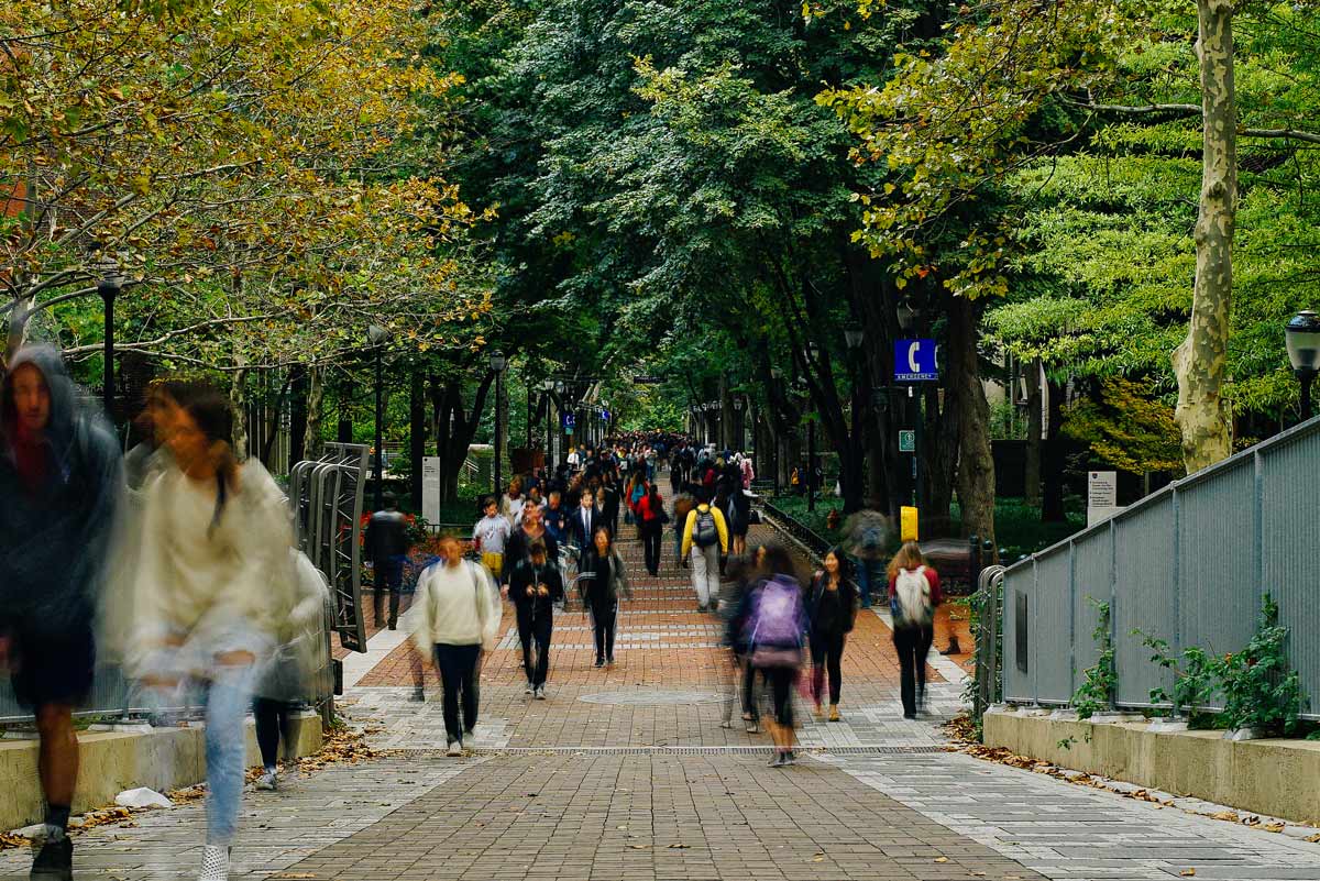 Students walking down Locust WalK's paved walkway